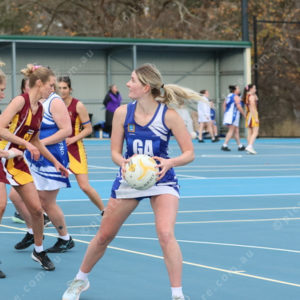 Netball 2833885