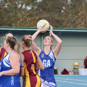 Netball 2833893