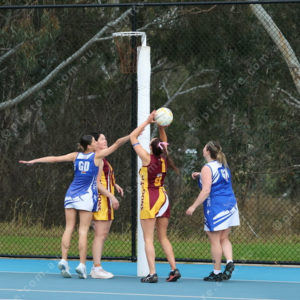 Netball 2833901