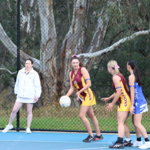 Netball 2833902
