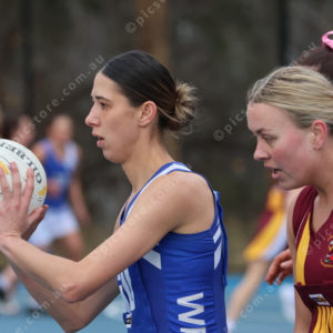 Netball 2833905