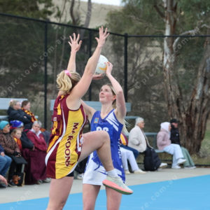 Netball 2833911