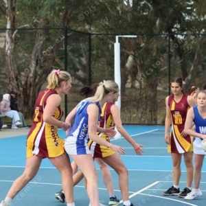 Netball 2833919