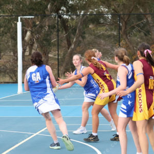 Netball 2833921