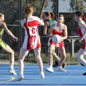Netball 2838552