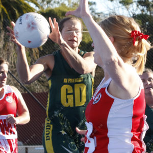 Netball 2838563