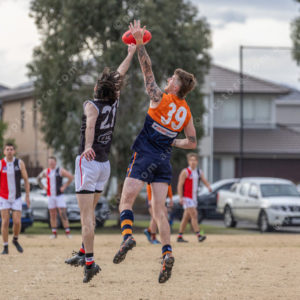 SFNL3lynST 2827066