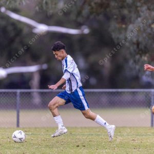 SoccerEHcp 2827100