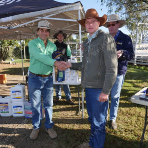 Weanersale 2828158