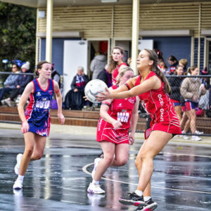 bnlnetball 2826906