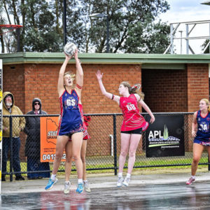 bnlnetball 2826911