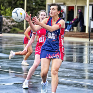 bnlnetball 2826925