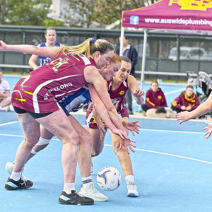 gdlnetball 2843254