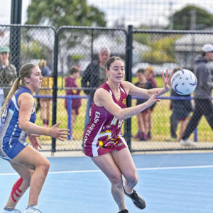 gdlnetball 2843255