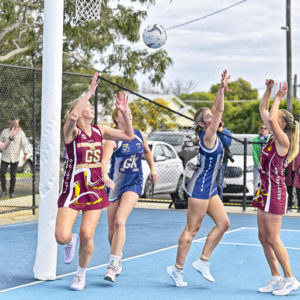 gdlnetball 2843256