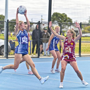 gdlnetball 2843257