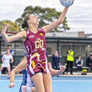 gdlnetball 2843266