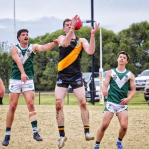 gflfooty 2826797