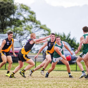 gflfooty 2826801