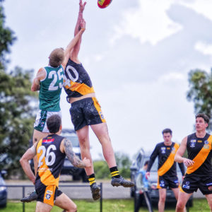 gflfooty 2826802
