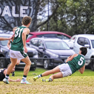 gflfooty 2826807