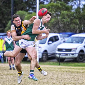 gflfooty 2826809