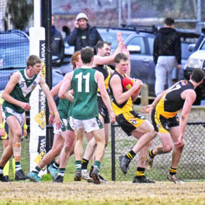 gflfooty 2826821