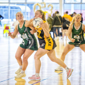 gnlnetball 2826635