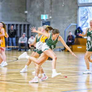 gnlnetball 2826642