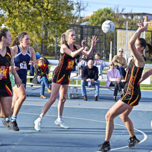 netball 2821875