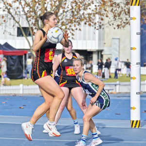 netball 2821878