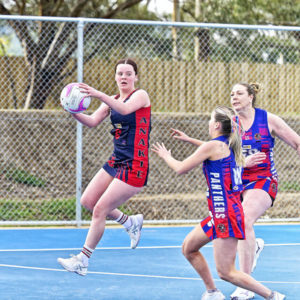 netball 2831528