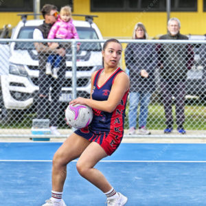 netball 2831529