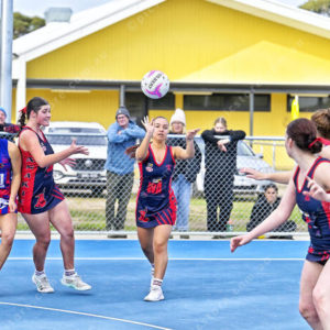 netball 2831536