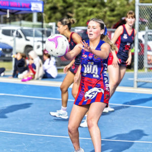 netball 2831538
