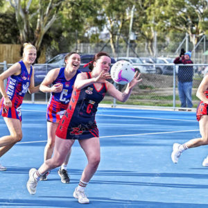 netball 2831548