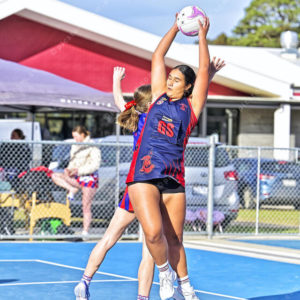 netball 2831558