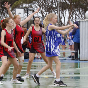 netball 2832853