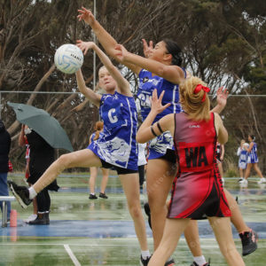 netball 2832854