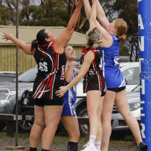 netball 2832857