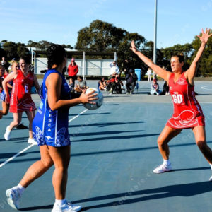 ognetball 2837128