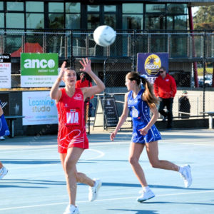 ognetball 2837129