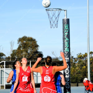 ognetball 2837130