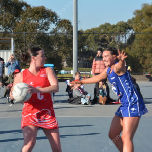 ognetball 2837133