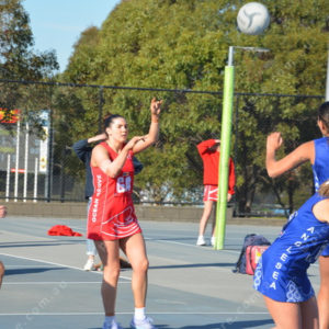 ognetball 2837134