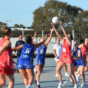 ognetball 2837137
