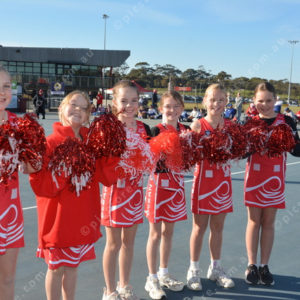 ognetball 2837139