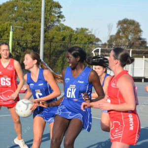 ognetball 2837144