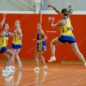 Netball1 2862382