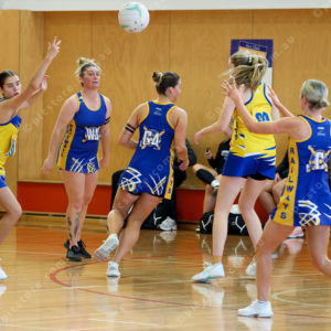 Netball1 2862387